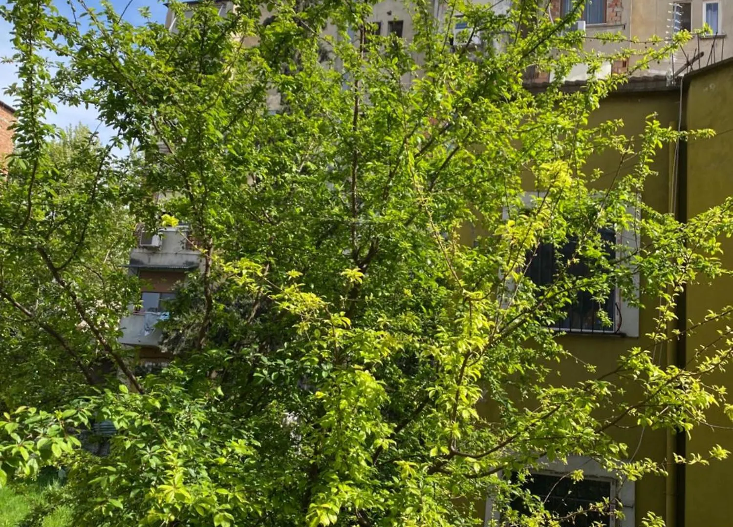Cenis Apartment 티라나